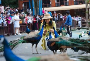 POM 2027 Xishuangbanna Leadership Expedition 6