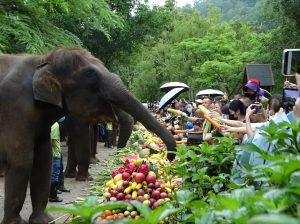POM 2027 Xishuangbanna Leadership Expedition 8